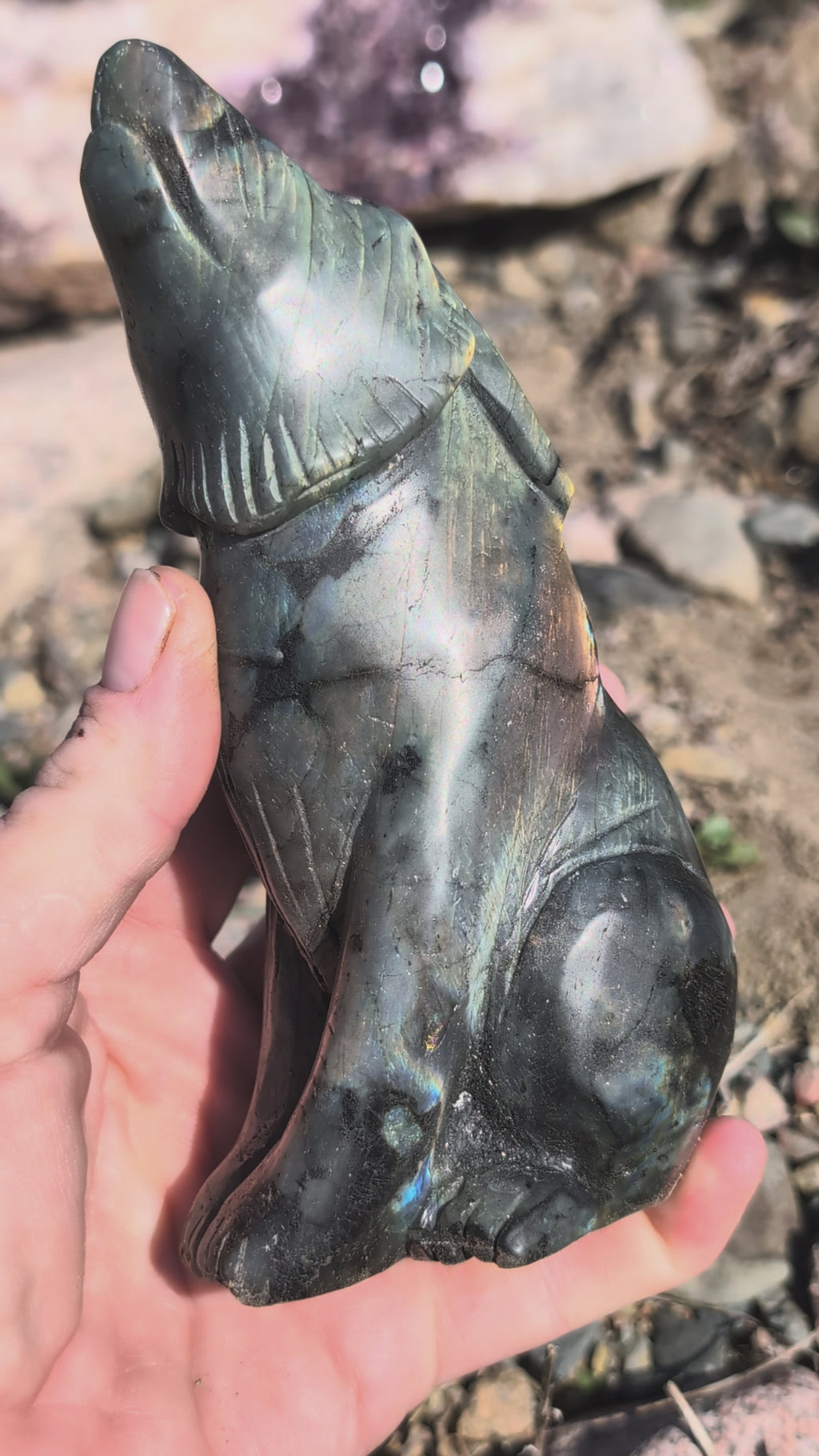 Crystal Wolf Labradorite