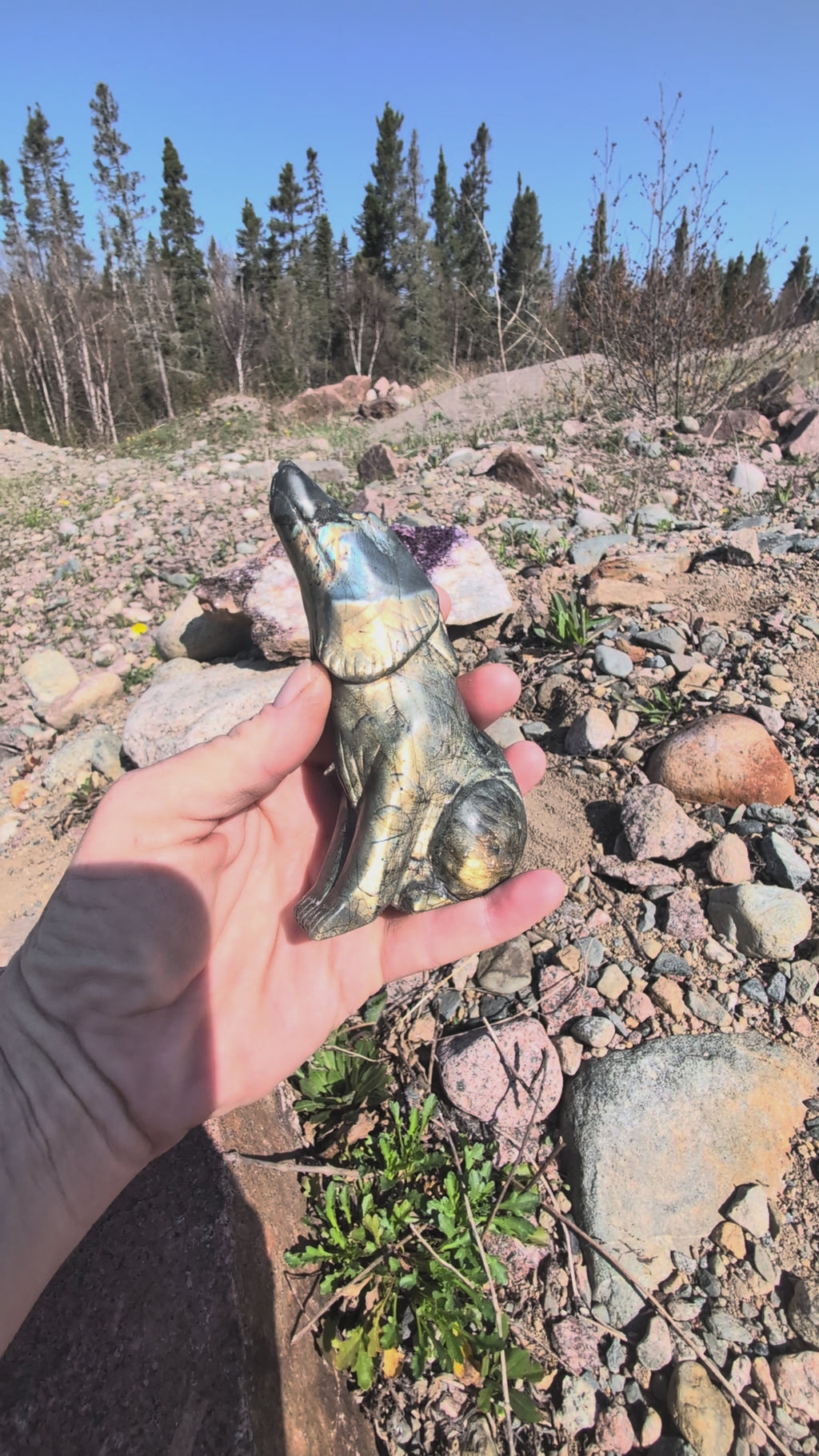 Crystal Wolf Labradorite