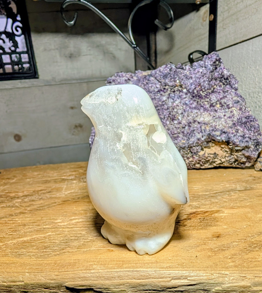 Druzy Agate Penguin