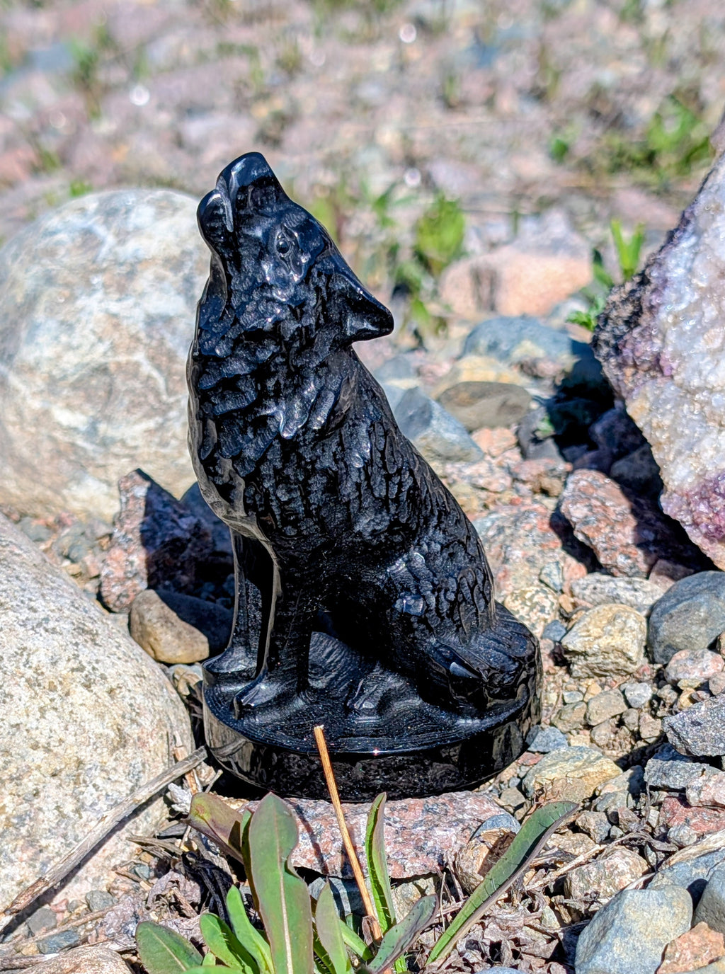 Crystal Wolf Obsidian