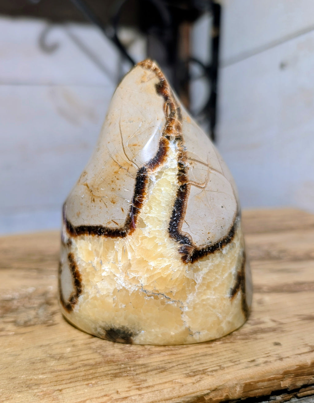 Crystal Flame Canadian Septarium, Dragon Stone