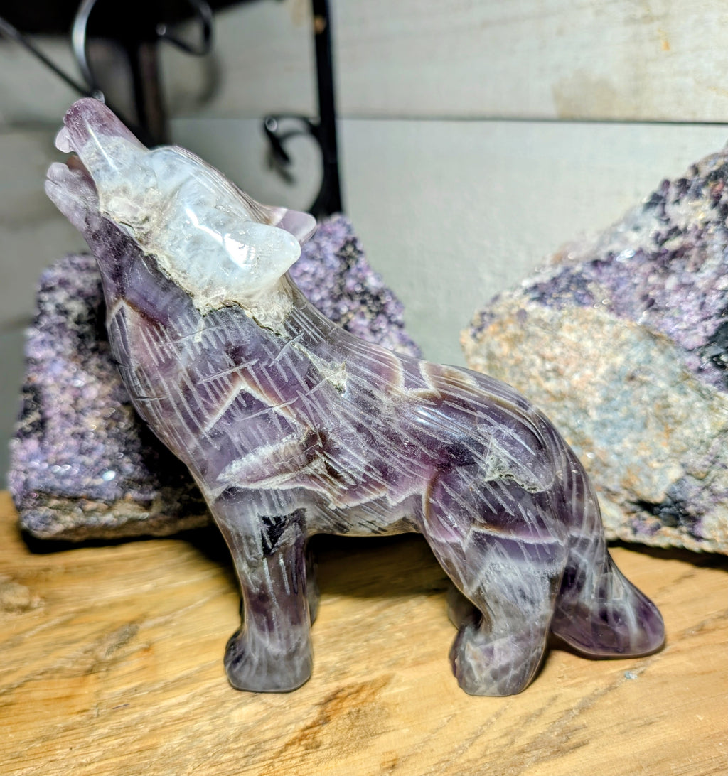 Crystal Wolf Amethyst