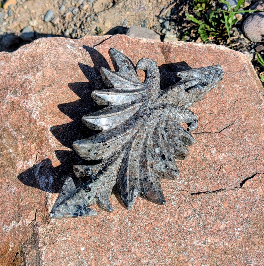 Crystal Dragon Canadian Flame Stone, Yooperlite