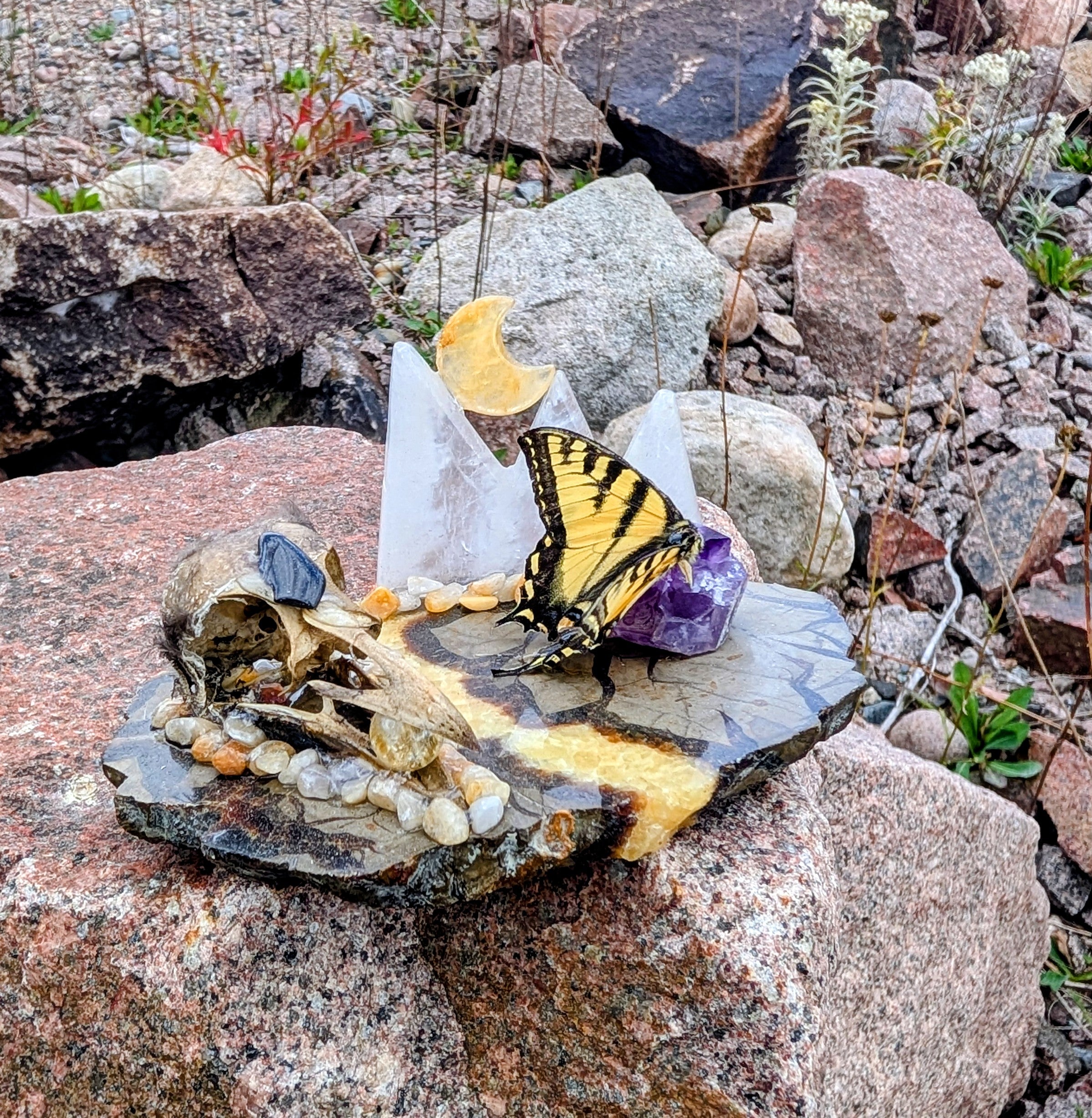 Artisanal Real Crow Skull with Real Butterfly