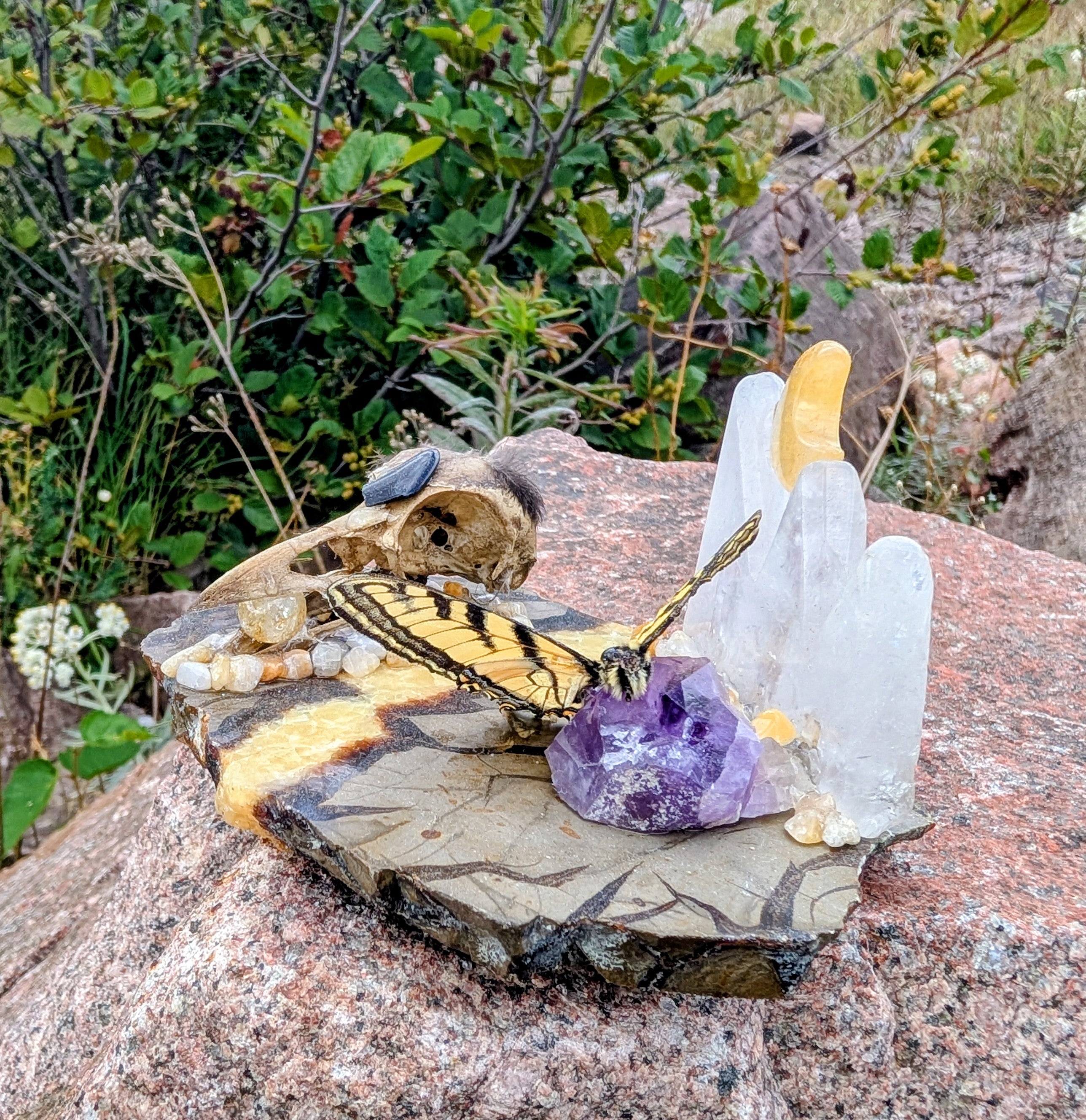 Artisanal Real Crow Skull with Real Butterfly