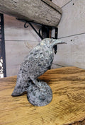 Canadian Flame Stone, Yooperlite Crystal Raven