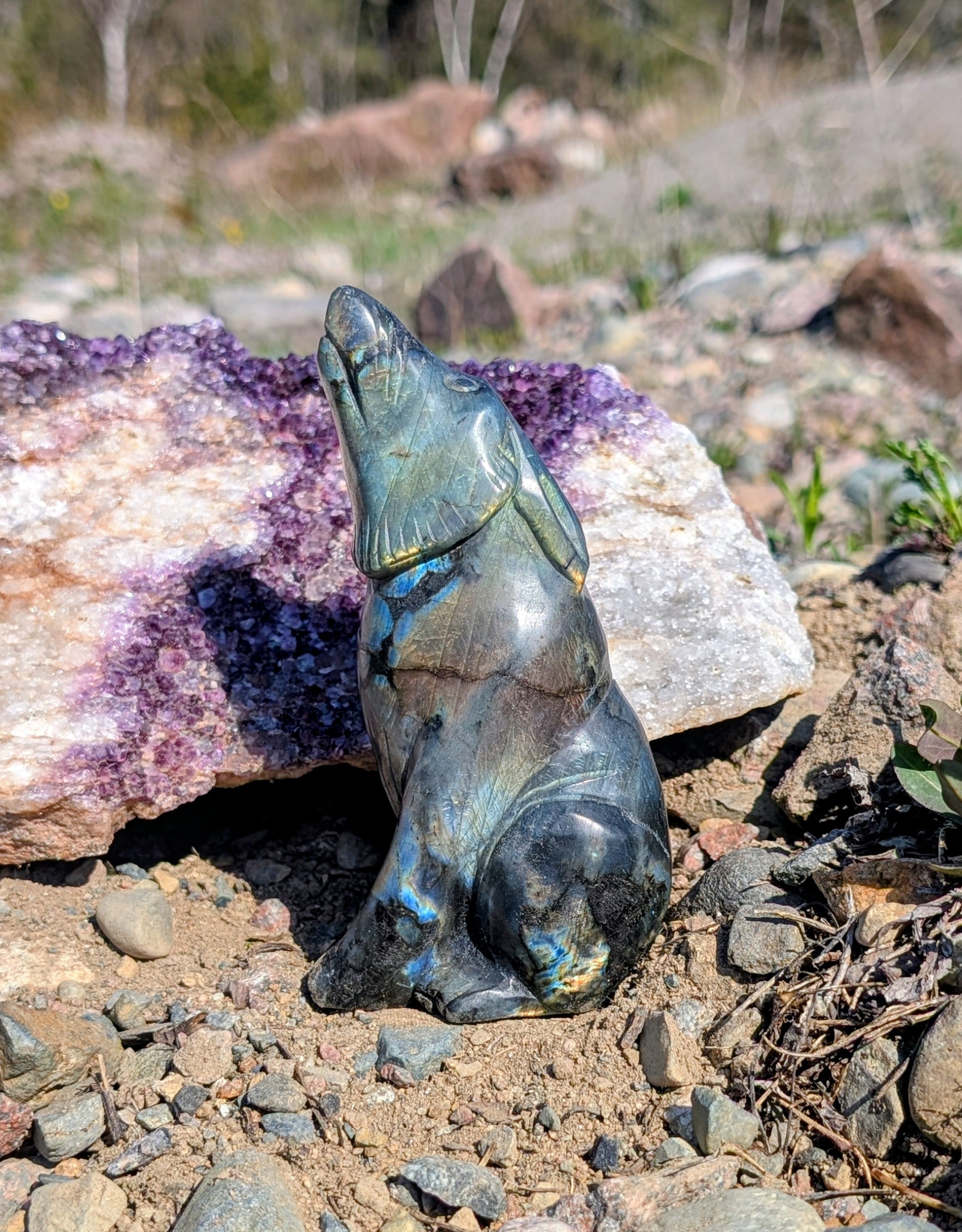 Crystal Wolf Labradorite