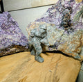 Sasquatch