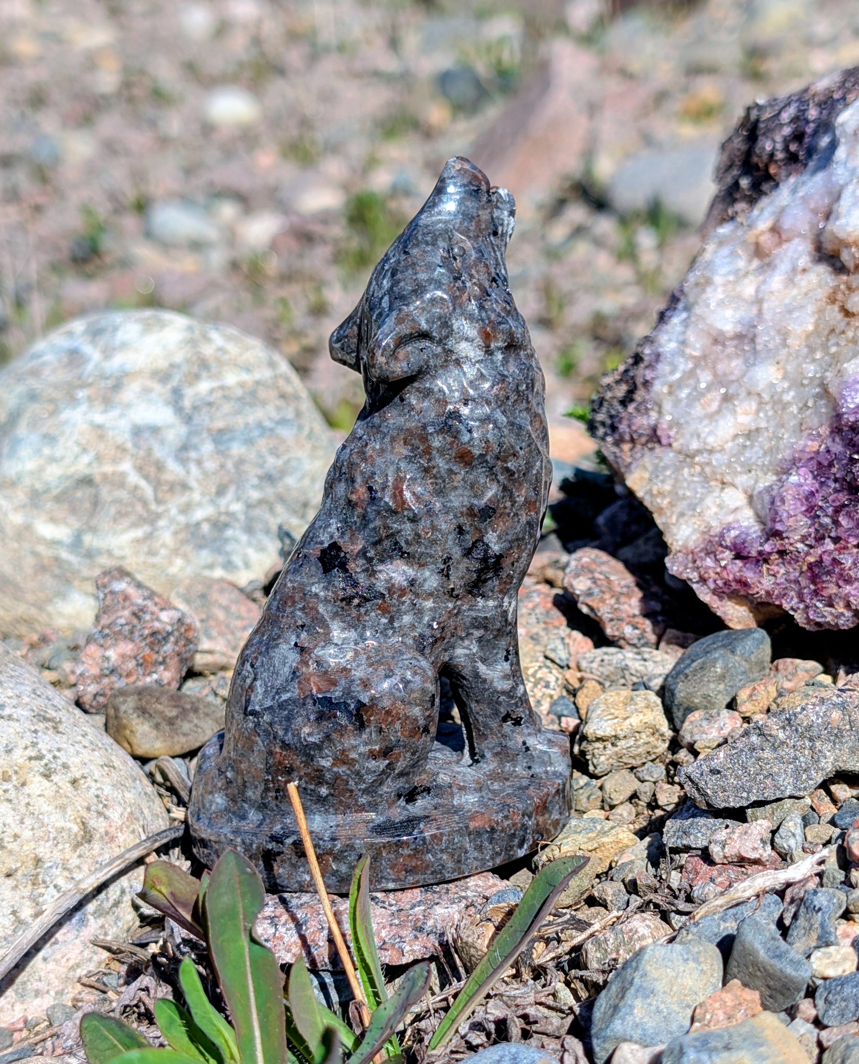 Crystal Wolf Canadian Flame Stone, Yooperlite