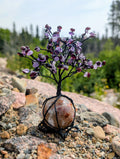 Crystal Tree on Crystal Sphere