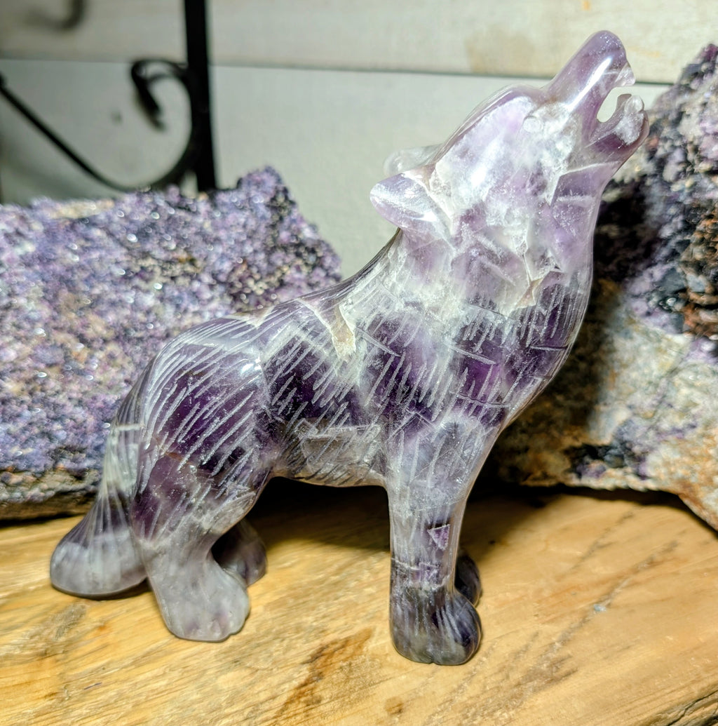 Crystal Wolf Amethyst