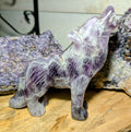 Crystal Wolf Amethyst