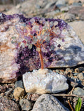 Fluorite Crystal Tree on Aura Coated Quartz