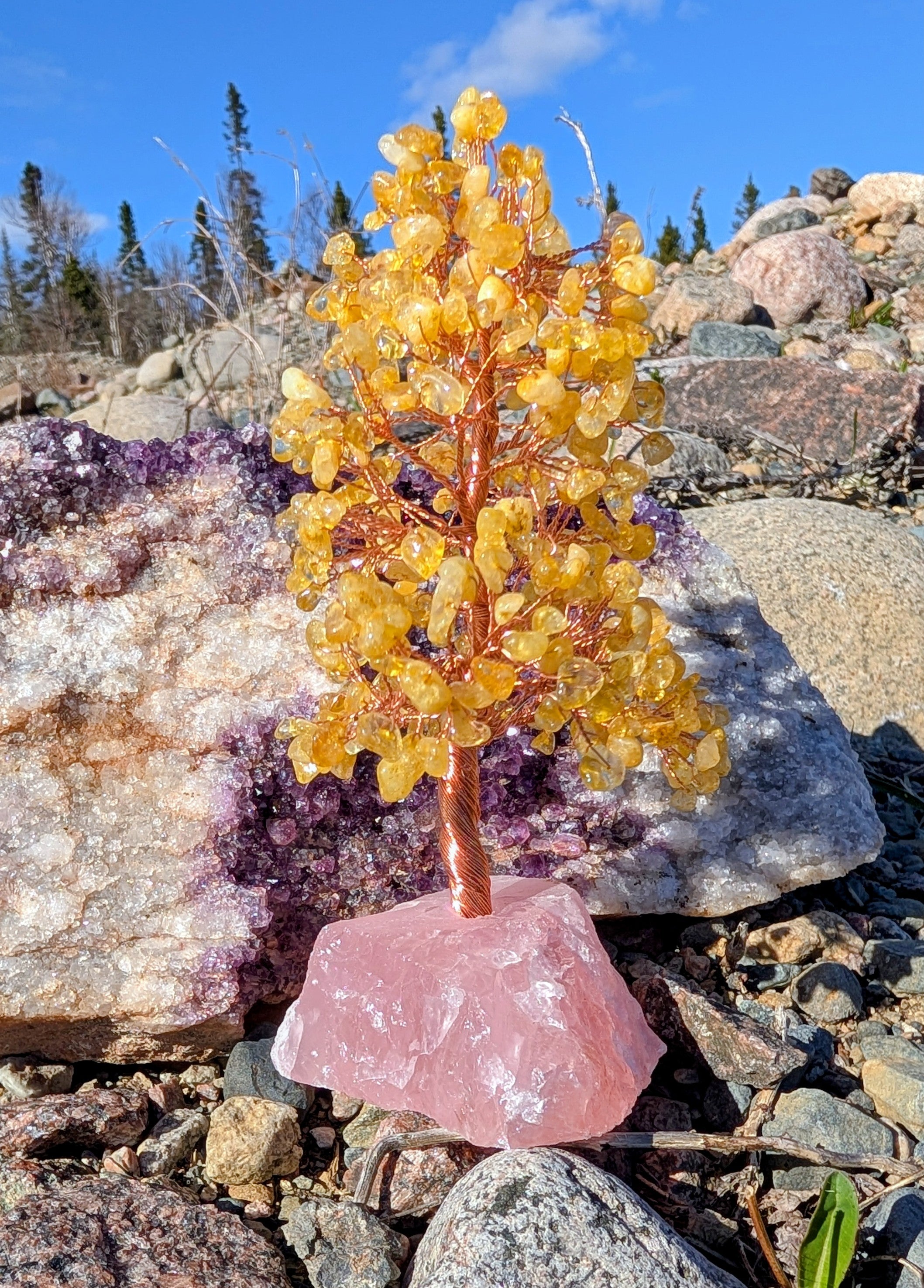 Citrine Crystal Tree on Rose Quartz