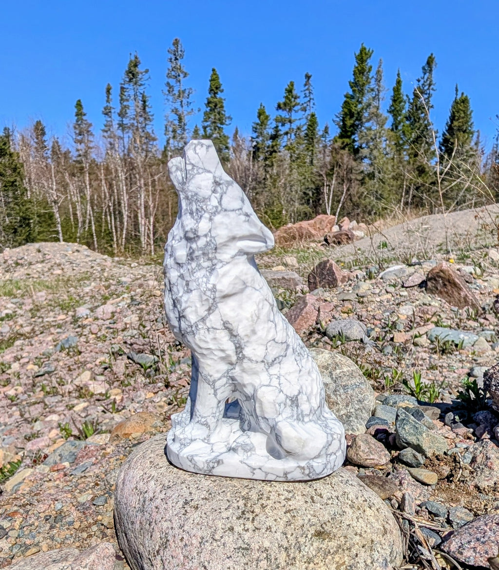 Crystal Wolf Howlite Unpolished