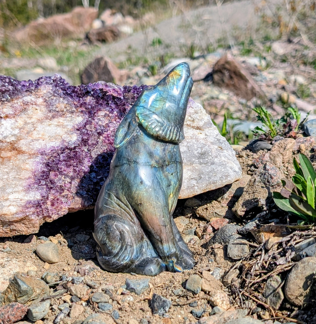 Crystal Wolf Labradorite