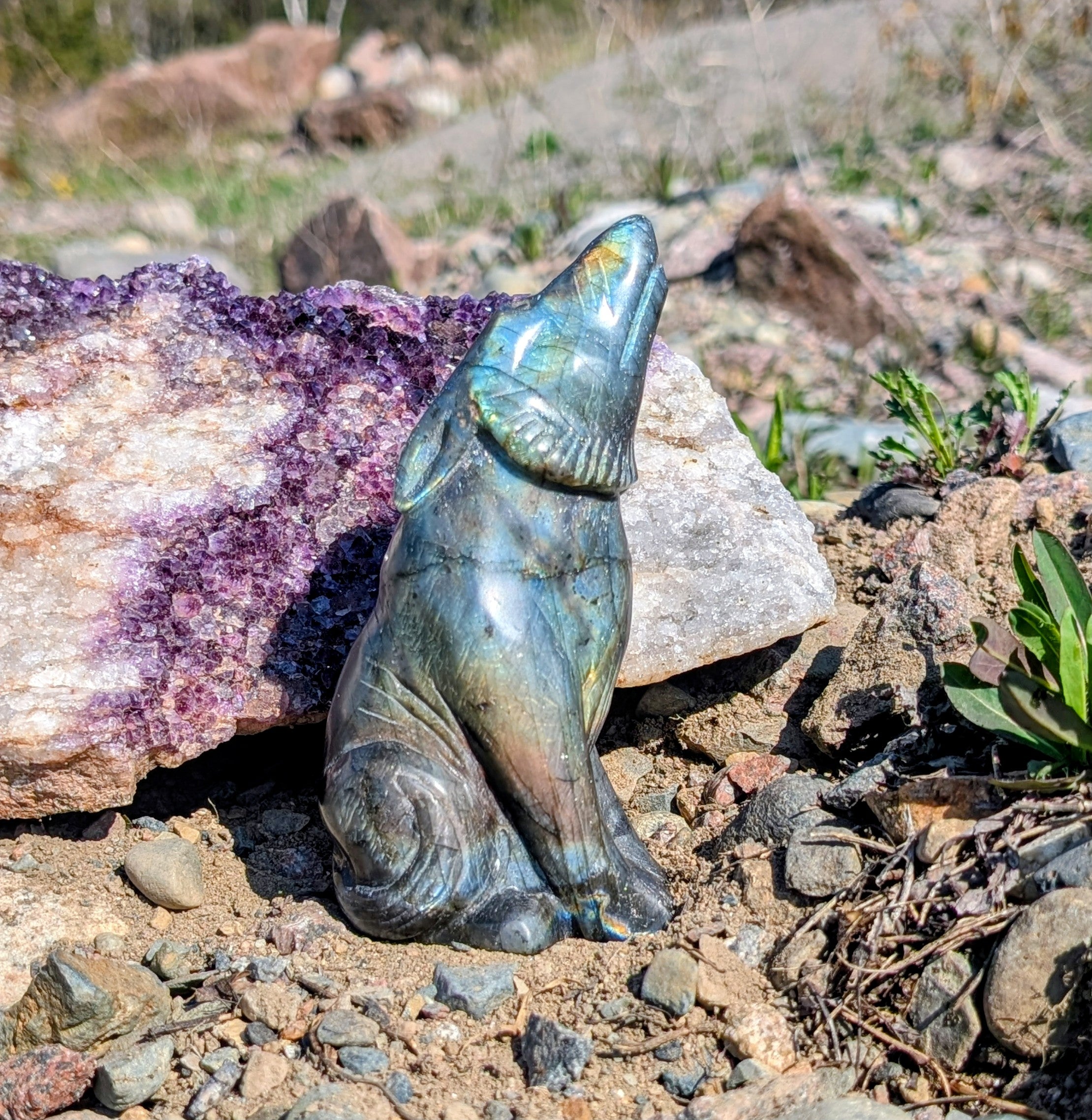 Crystal Wolf Labradorite