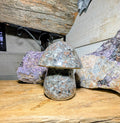 Mushroom Crystal Canadian Flame Stone, Yooperlite