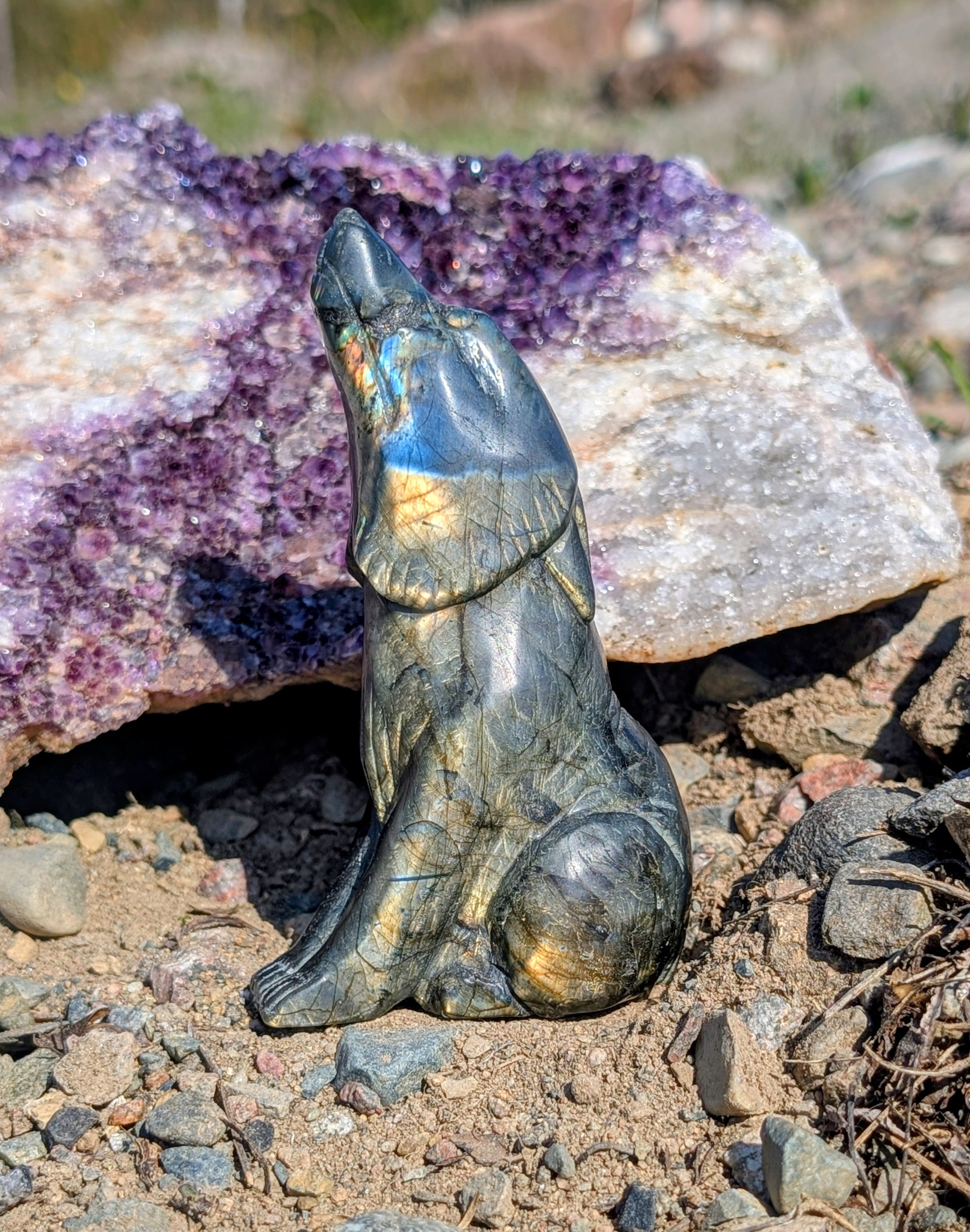 Crystal Wolf Labradorite