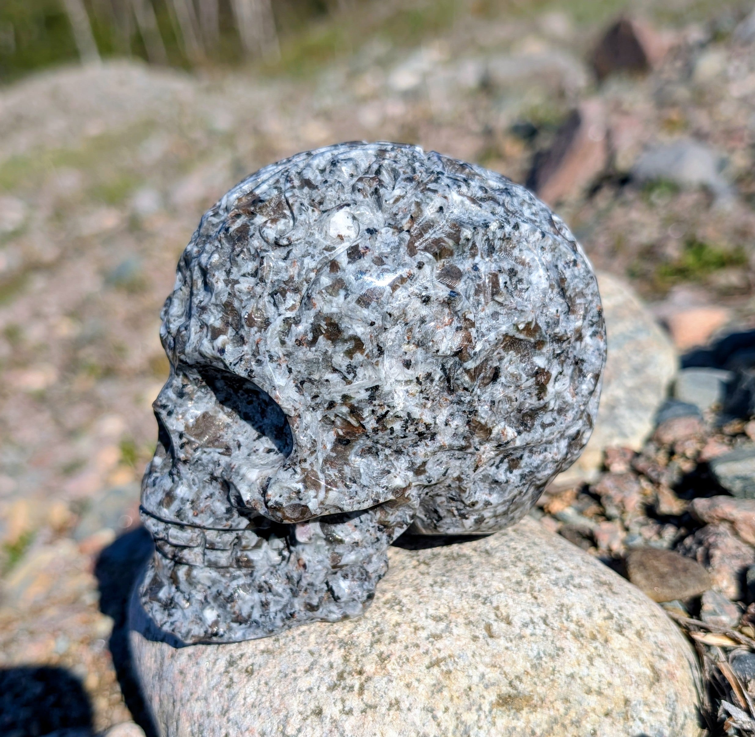 Crystal Skull Canadian Flame Stone, Yooperlite