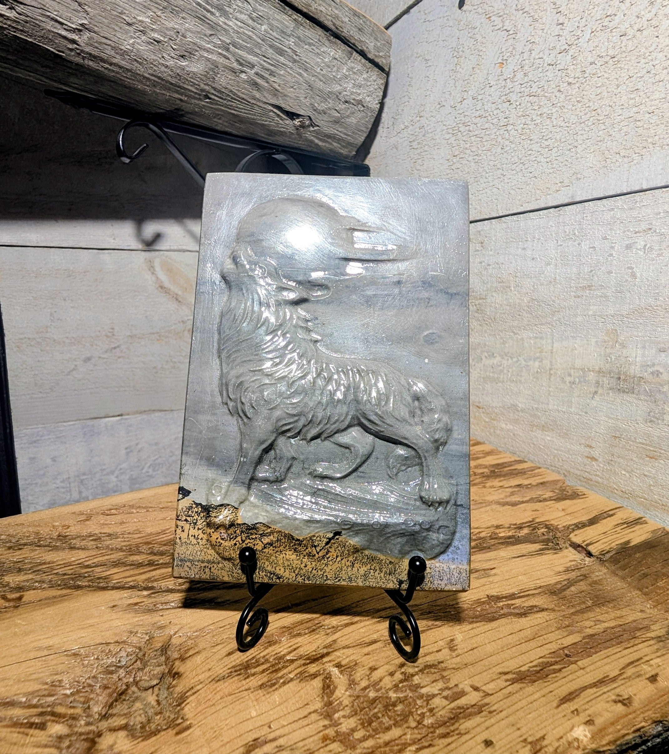 Picture Jasper Picture Wolf