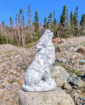 Crystal Wolf Howlite Unpolished