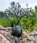 Crystal Tree on Crystal Sphere