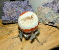 Crystal Sphere