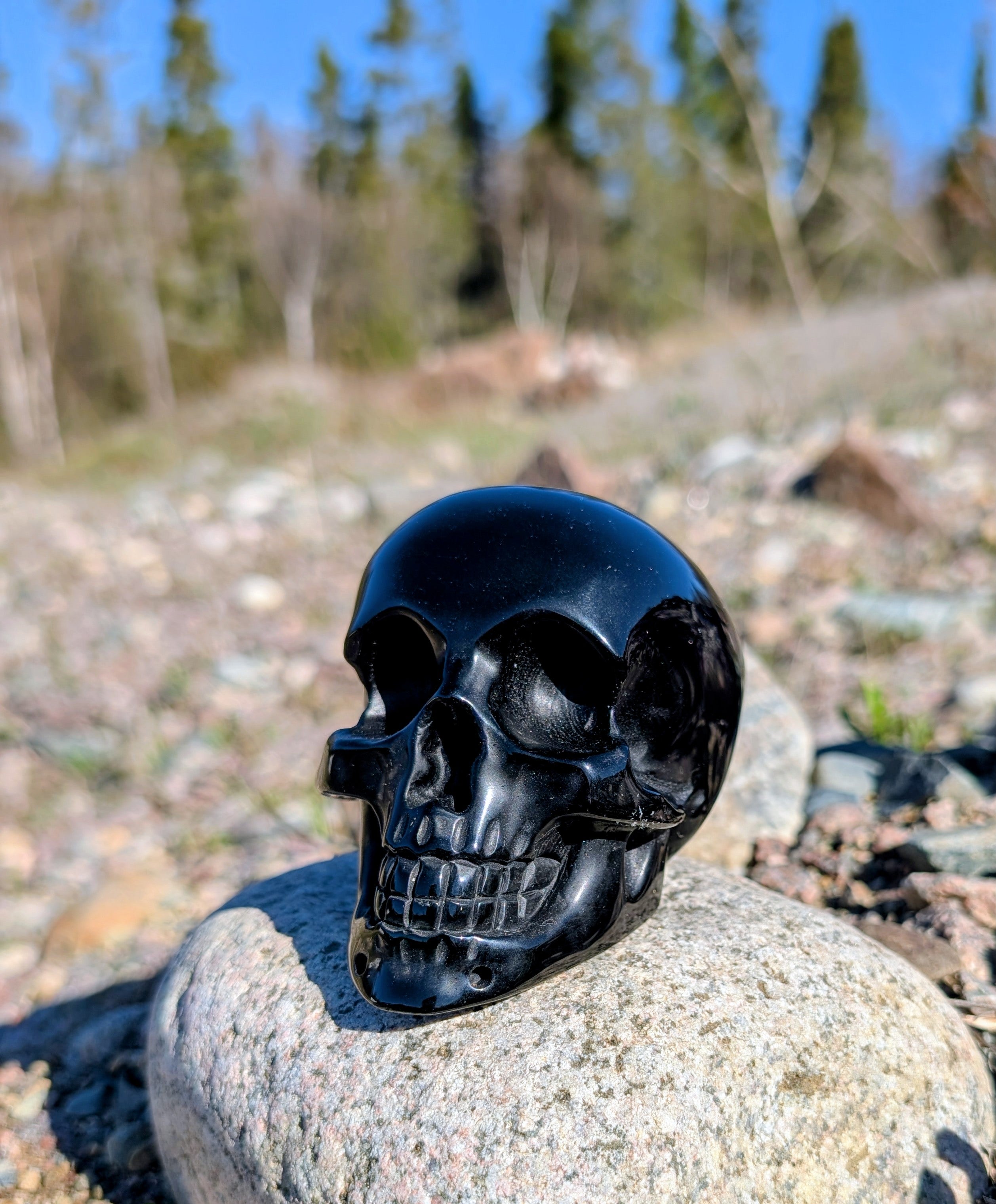 Crystal Skull Obsidian
