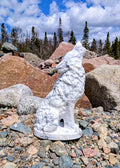 Crystal Wolf Howlite
