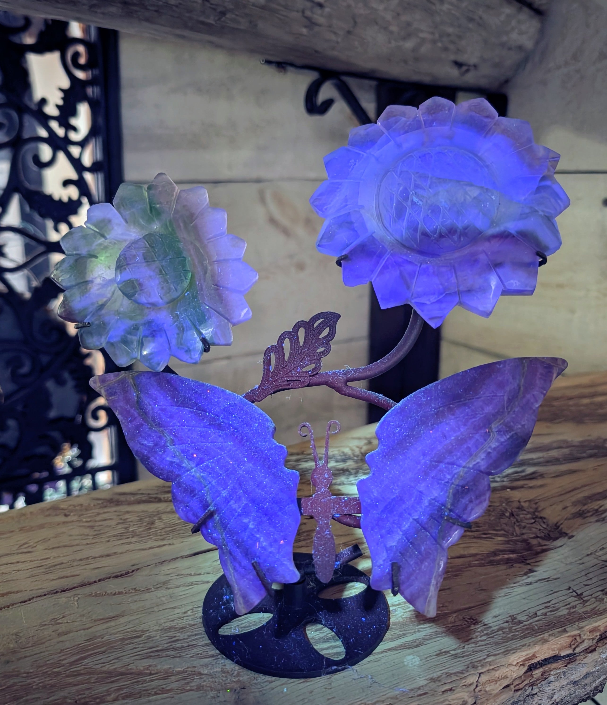 Fluorite Butterfly Wings and Flowers