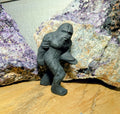 Sasquatch