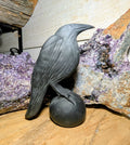 Obsidian Crystal Raven