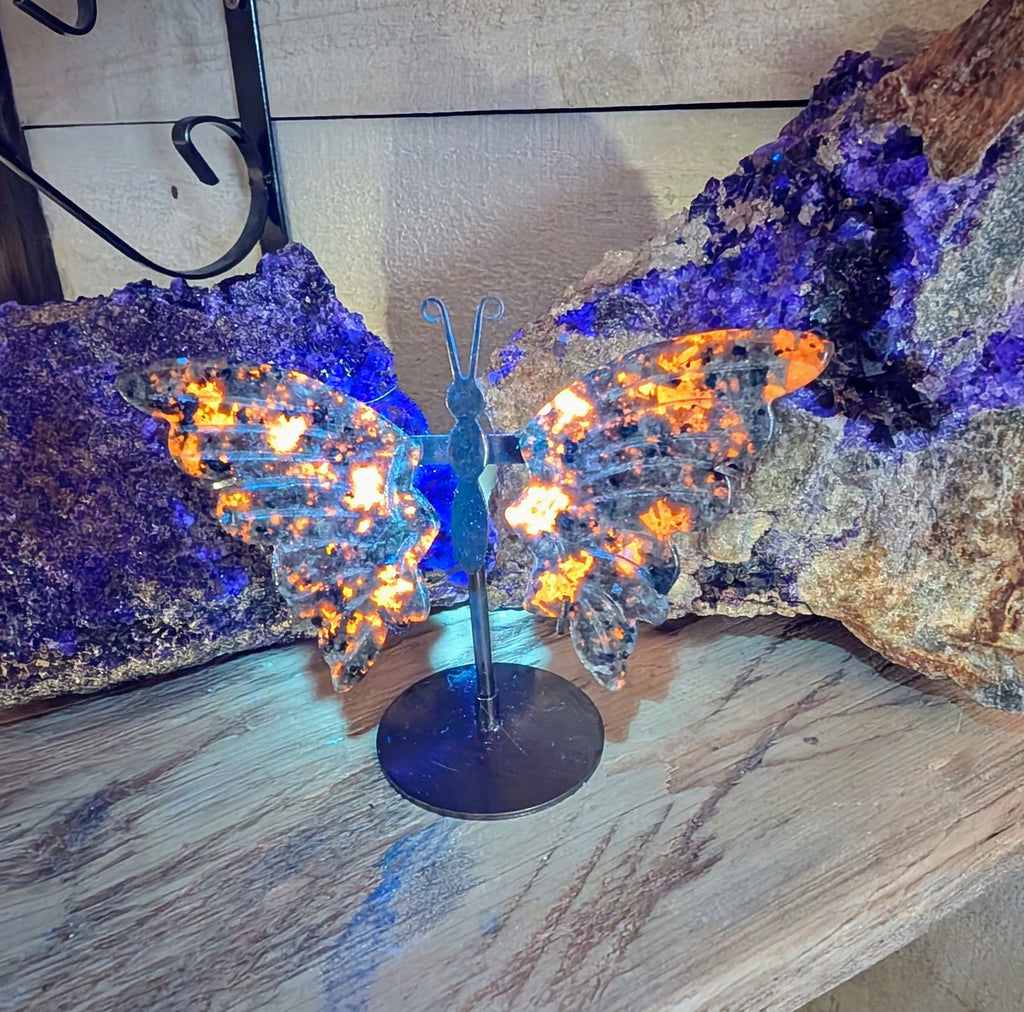 Crystal Butterfly Wings